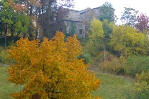 Colori d'autunno sul retro della Pieve (Foto  Loretta Barozzi)