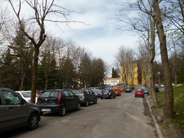 Alberi tagliati parcheggio ospedale (2.4.2014)