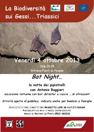 Bat Night 4 ottobre