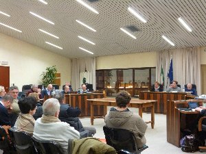 Consiglio comunale Castelnovo 19.3.2013