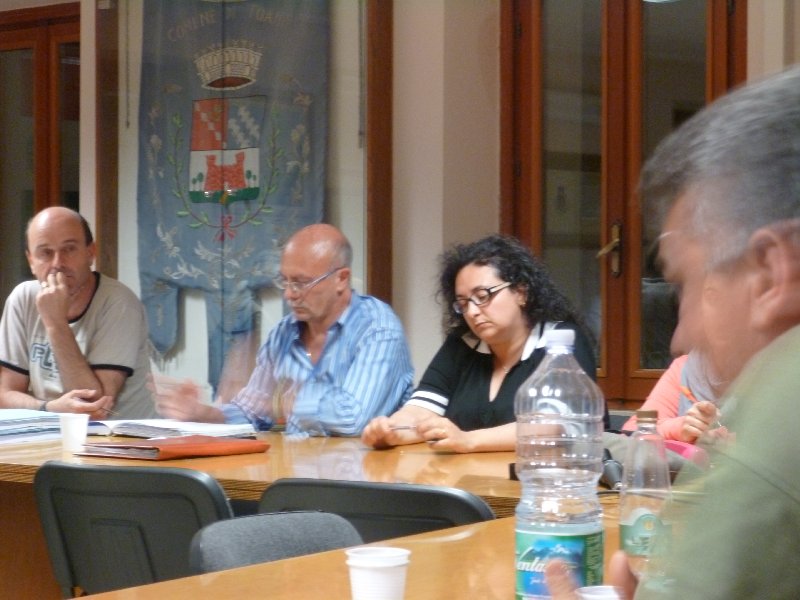 Consiglio comunale Toano (2.7.2013)