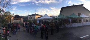 Festa Castagna Cortogno (Large)