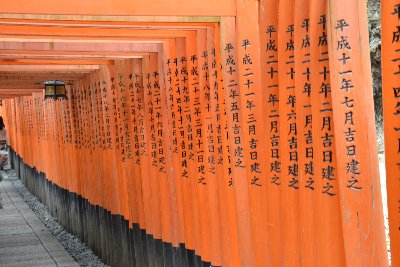 Kyoto, fila di Torii al tempio shintoista Fushimi-Inari Taisha