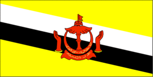 Bandiera Brunei