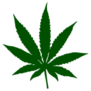 cannabis_flower-999px