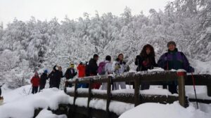 Tra la neve nel Parco